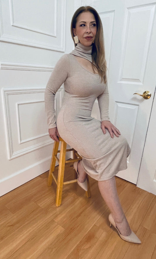 Ladylike Midi Dress