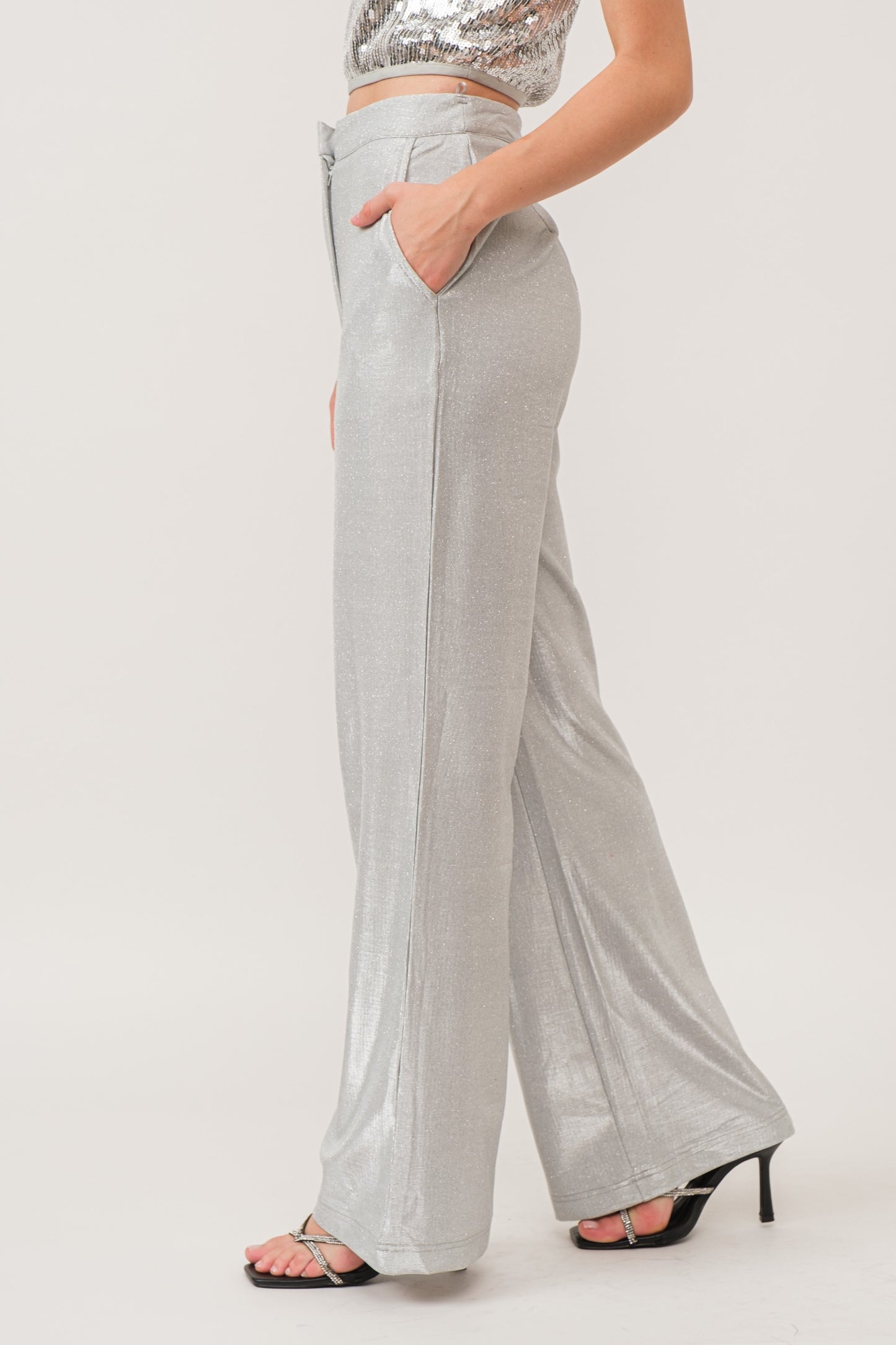 Camilla Wide Leg Dress Pants