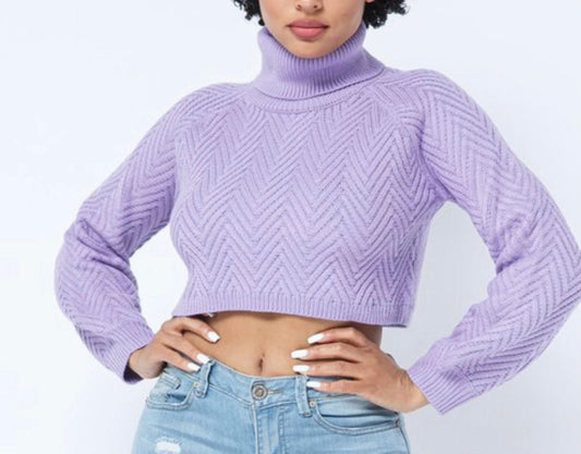 Lily Crop Top Sweater